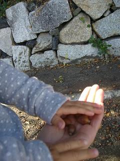 f0093160_231588.jpg