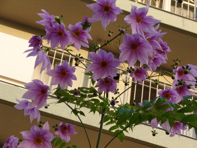b0061261_22203751.jpg