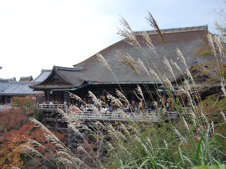 d0087062_22503015.jpg