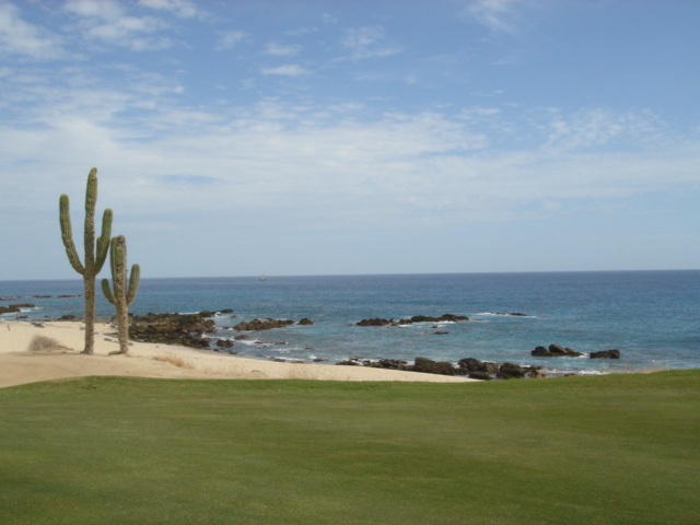 b0068067_85981.jpg