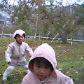 f0052068_6493476.jpg