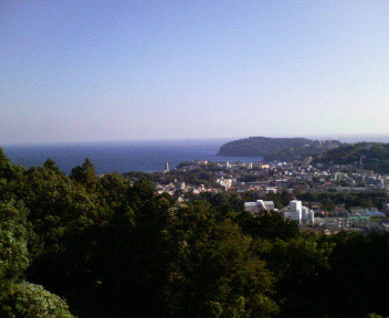 d0045171_311979.jpg