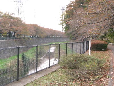 c0112172_111441.jpg