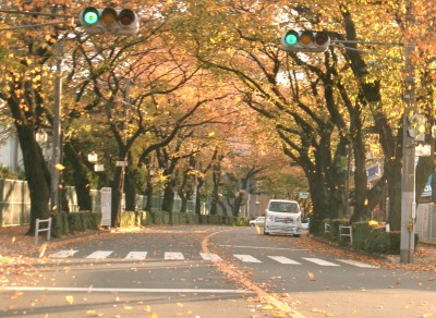 c0112172_123485.jpg