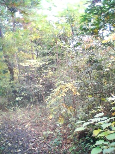 e0031572_19561314.jpg