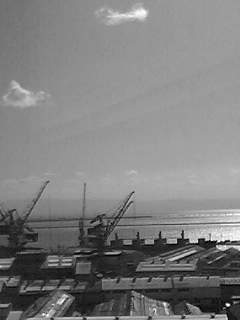 f0100480_18392015.jpg