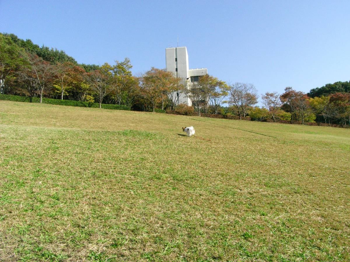 e0101884_13365564.jpg