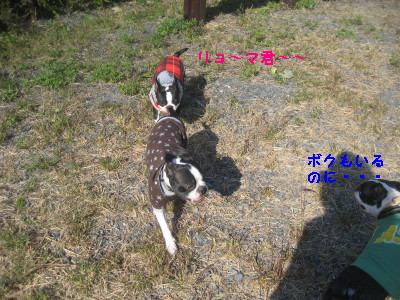 c0092787_8441392.jpg