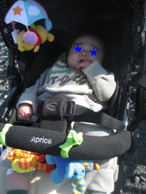 c0092787_9335733.jpg