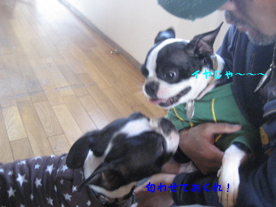 c0092787_955936.jpg
