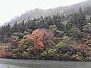 e0017290_210510.jpg