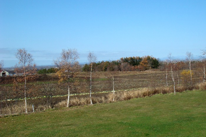 a0067991_8243241.jpg