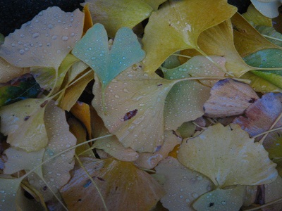 f0047693_1504796.jpg