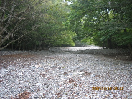 c0147398_20355527.jpg