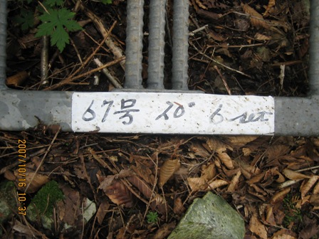 c0147398_20412681.jpg