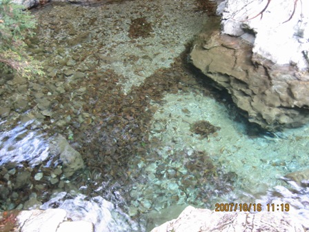 c0147398_20422391.jpg