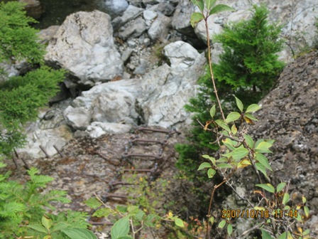 c0147398_20431291.jpg