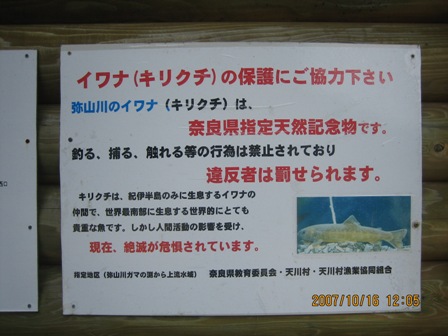 c0147398_20444457.jpg