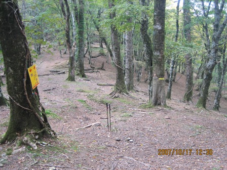 c0147398_2172094.jpg