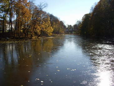 d0103098_129264.jpg