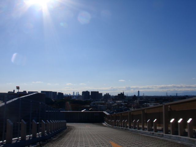 a0031000_21264280.jpg