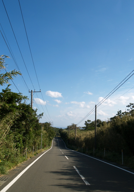 e0089001_19195724.jpg
