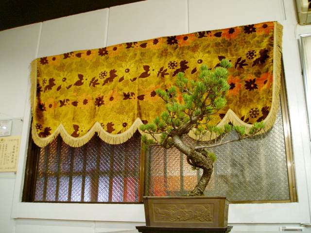 c0037103_17443275.jpg