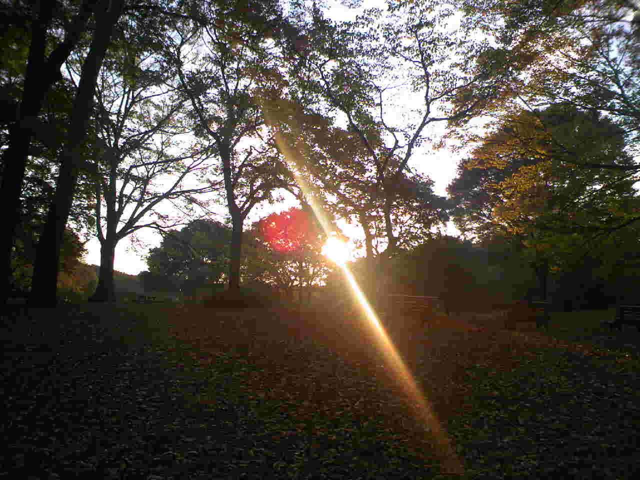 a0024005_16285496.jpg
