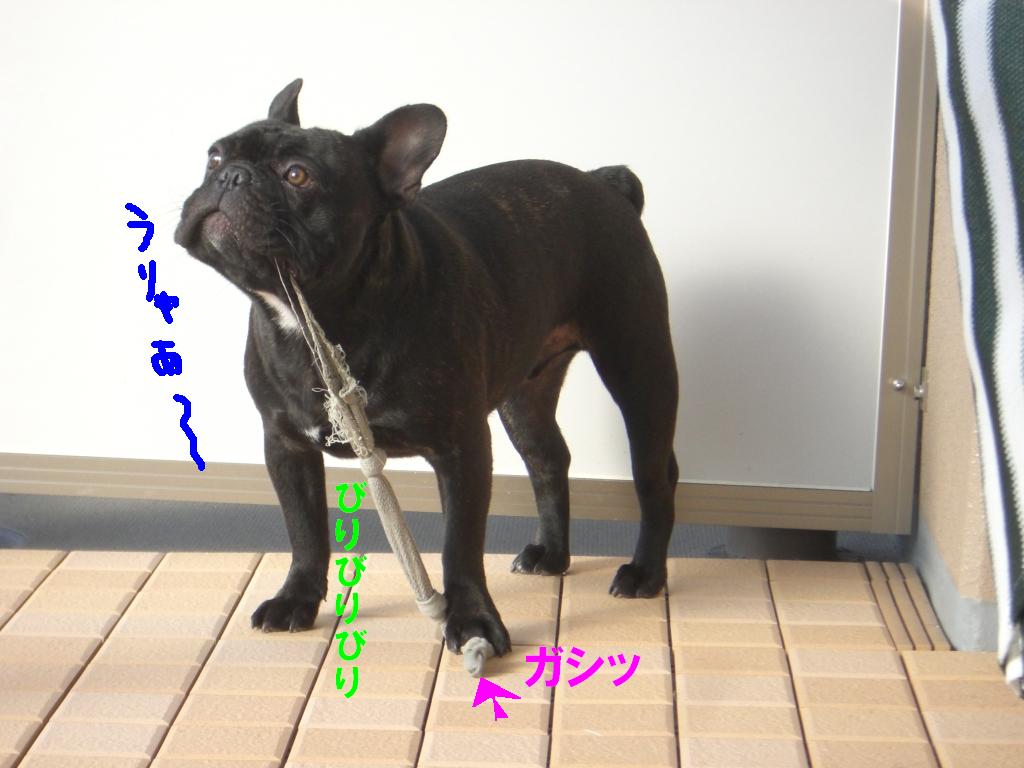 c0113109_0233365.jpg