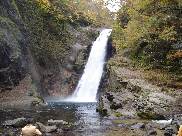 f0006510_21492999.jpg