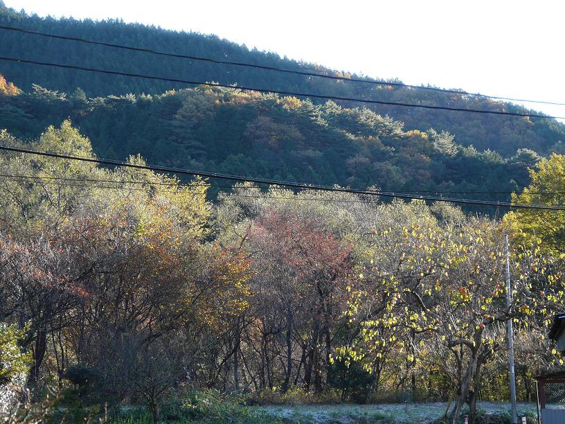 c0086014_2231662.jpg
