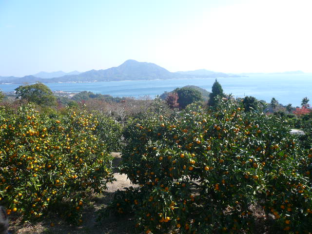 e0026017_10425964.jpg
