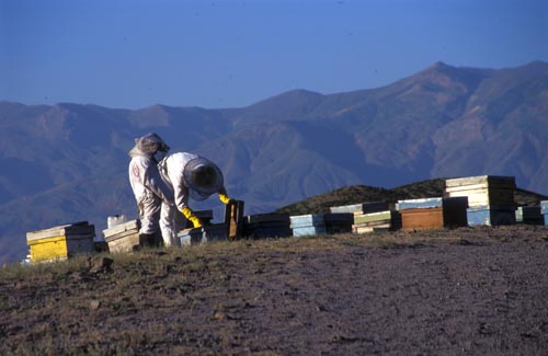 c0057224_2092395.jpg