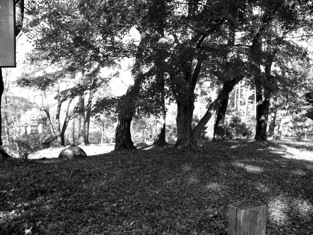 d0029829_8153249.jpg