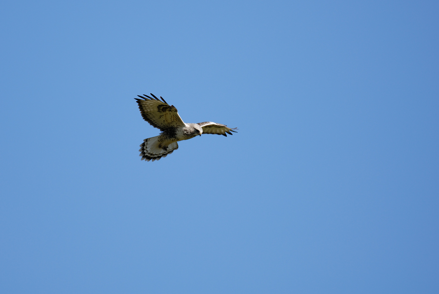 a0039245_23444475.jpg