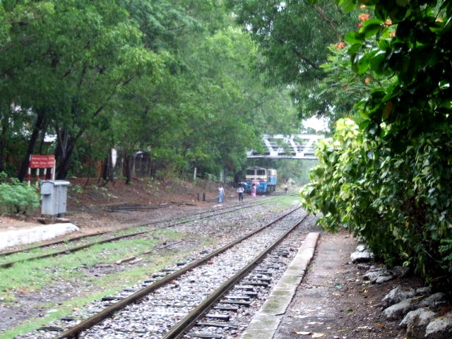 c0011649_0391313.jpg
