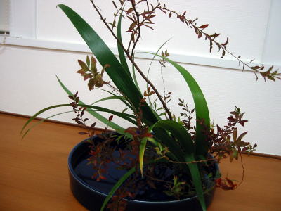 c0147952_2256391.jpg