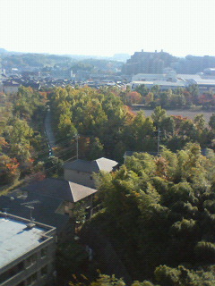f0156758_1952157.jpg