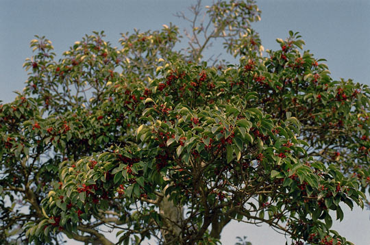 b0112661_172513100.jpg