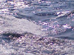 d0043161_16131662.jpg