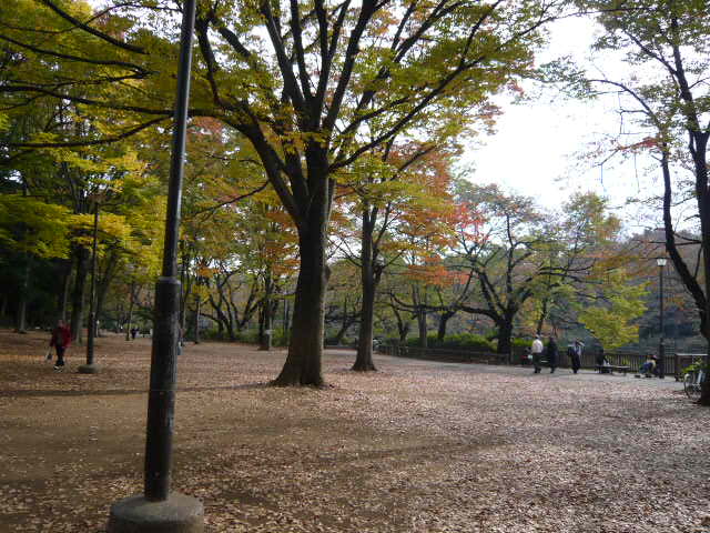 c0100865_621513.jpg