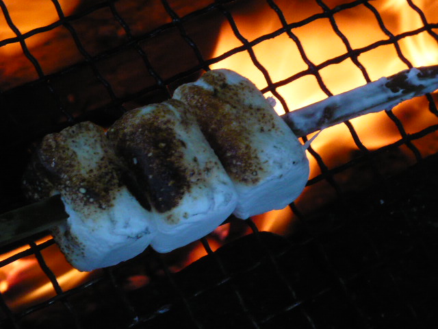 c0100865_6241490.jpg