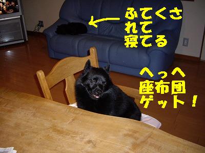 e0002466_1155137.jpg