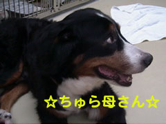 e0124868_2245984.jpg