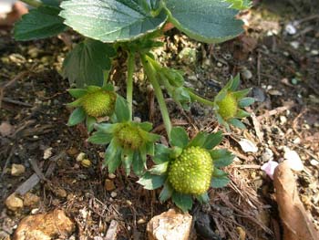 c0122670_23274639.jpg