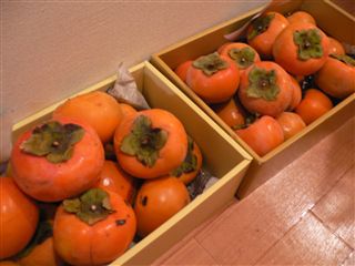 f0001378_22354458.jpg