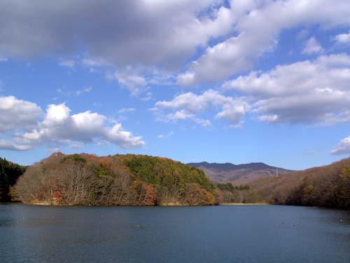 f0092382_1316205.jpg