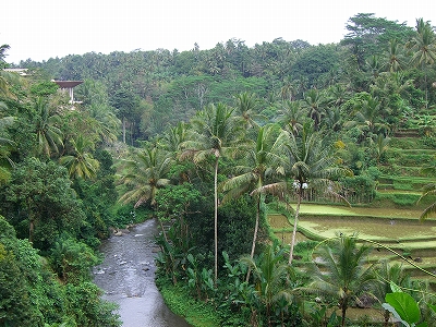 b0101284_18503750.jpg