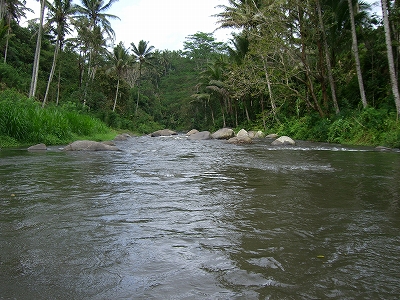 b0101284_19151861.jpg