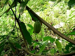 b0101284_19254771.jpg